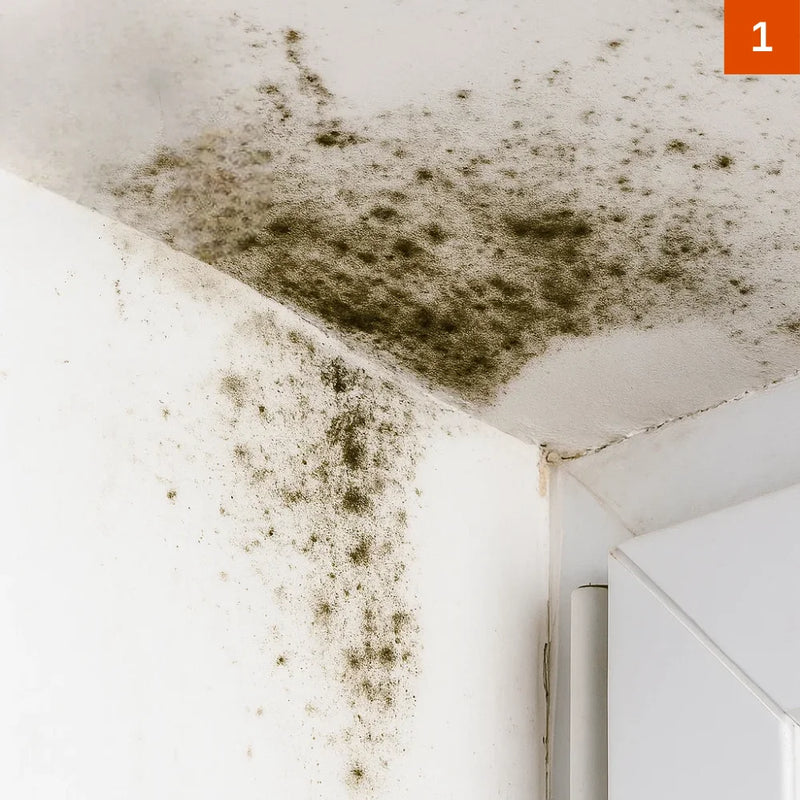 Oberflächenvorbereitungрою